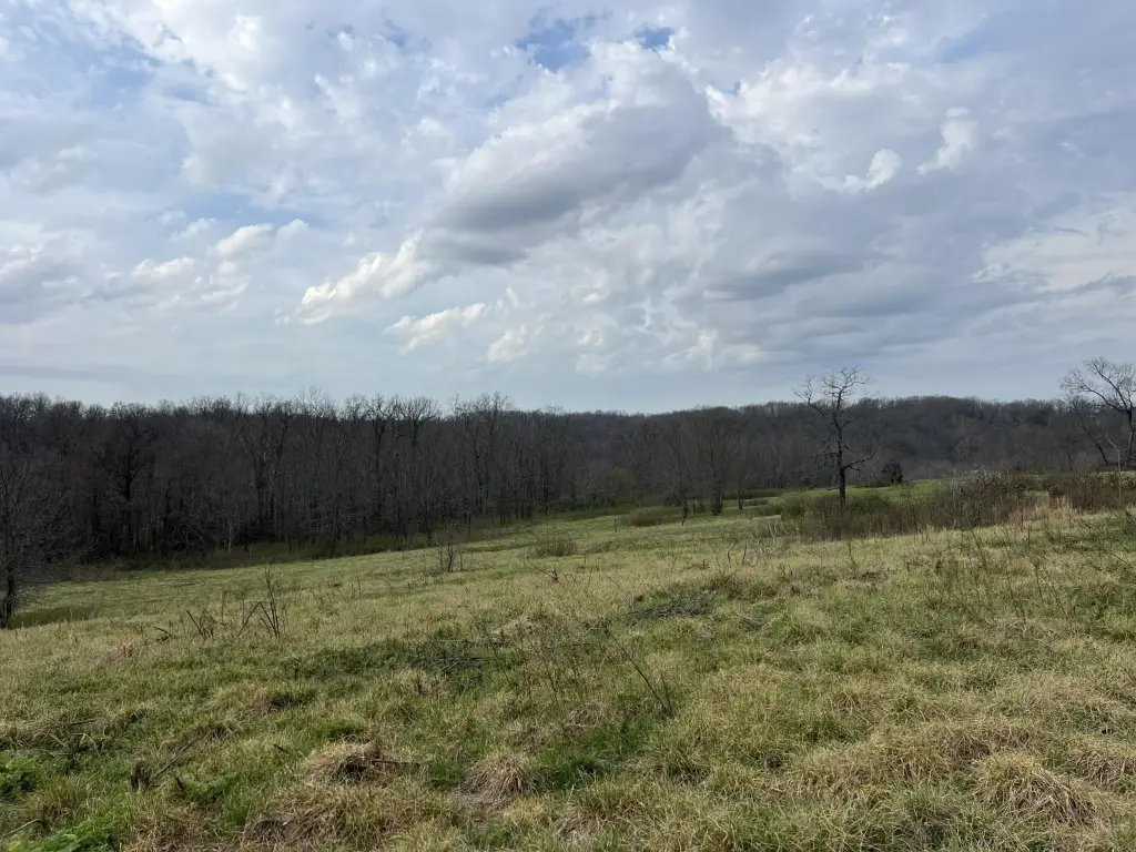 Picture 4
