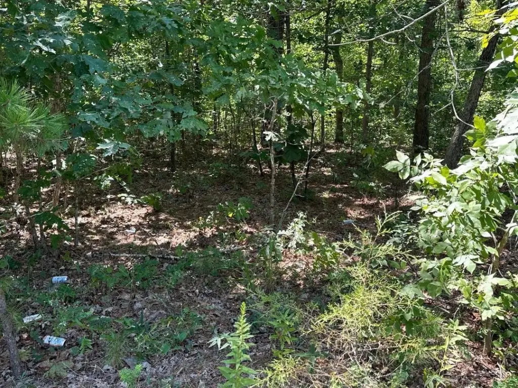 Picture 8