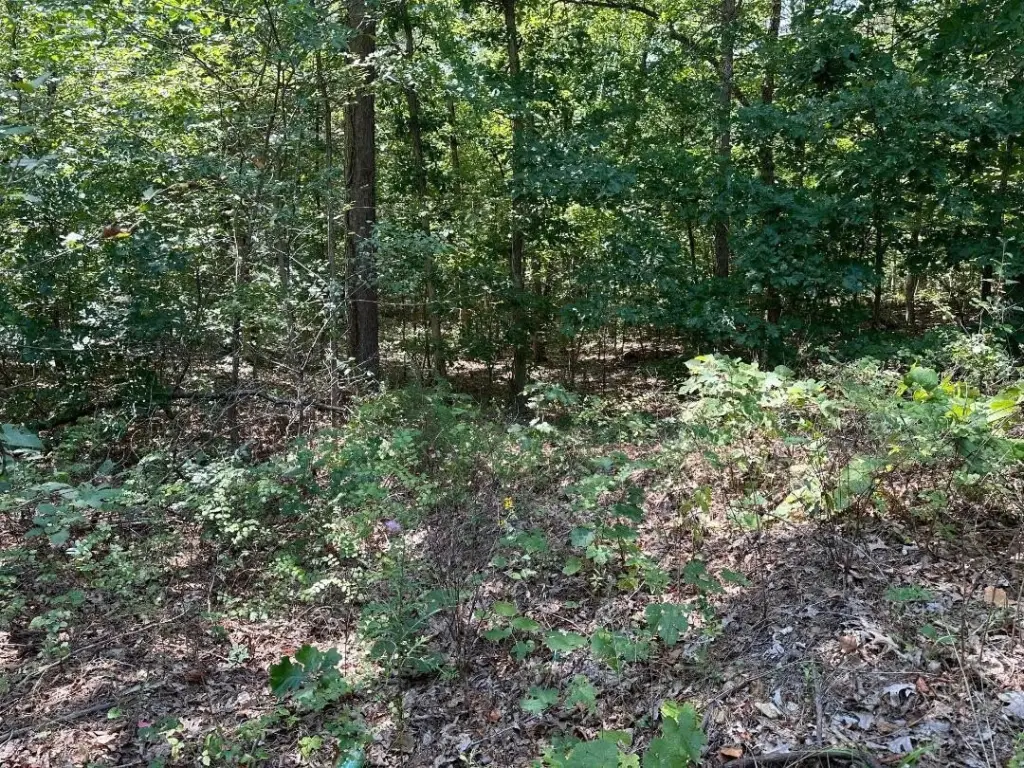 Picture 11