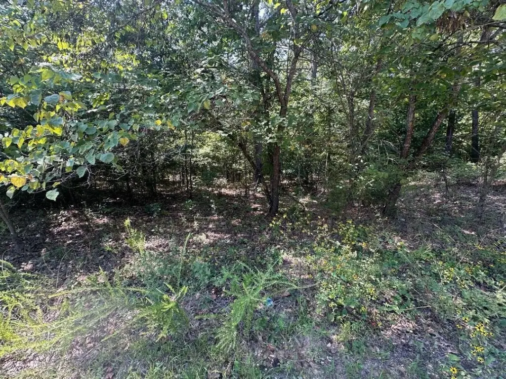 Picture 6