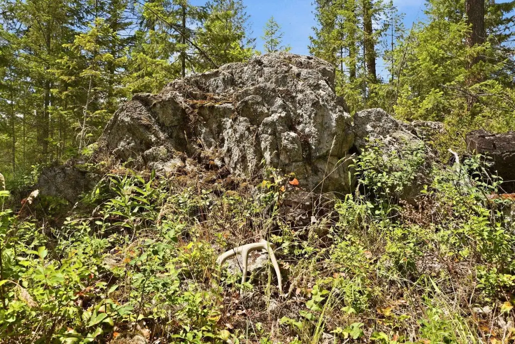 Picture 15