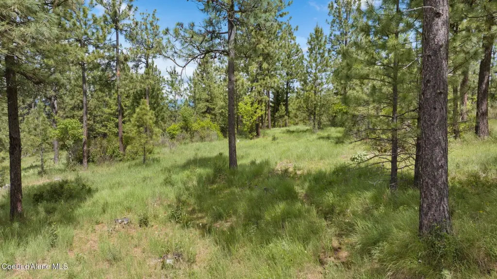 Picture 25
