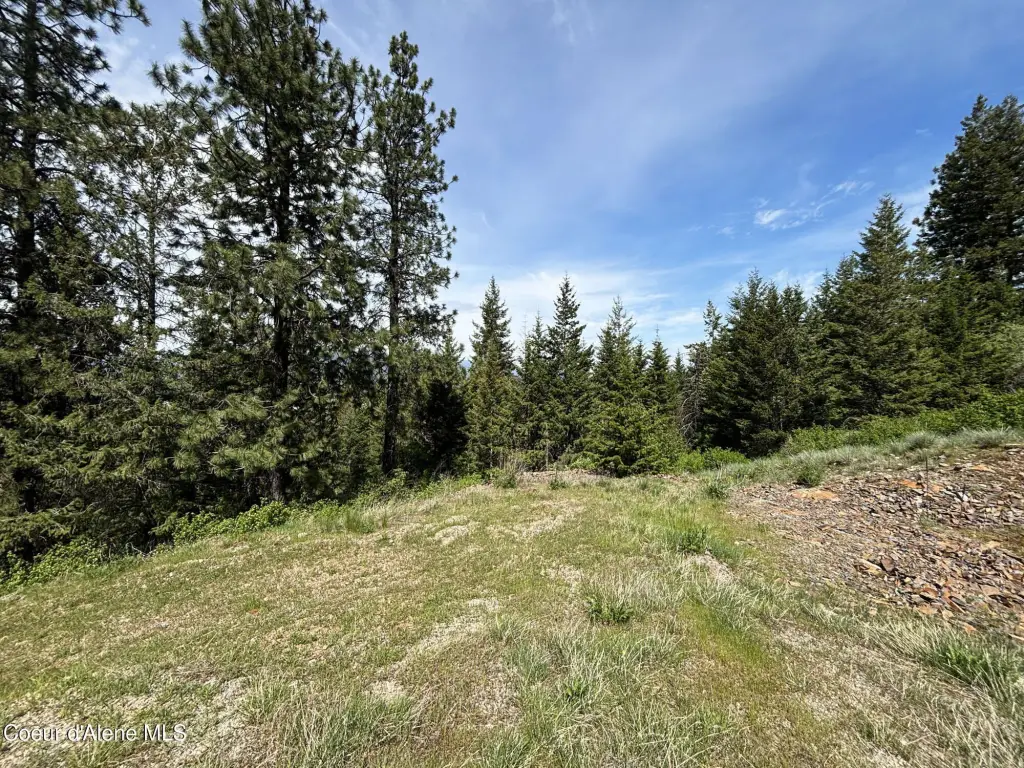 Picture 18