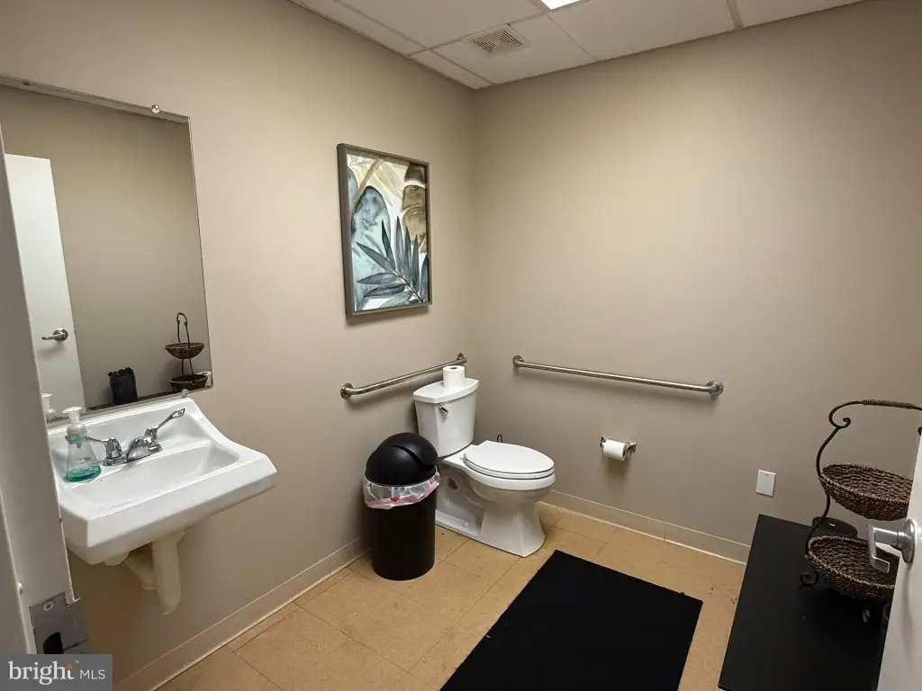 Picture 8