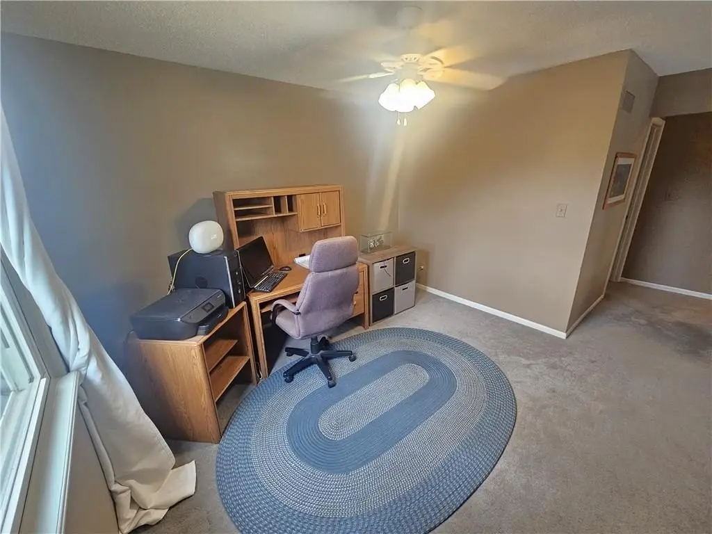 Picture 24