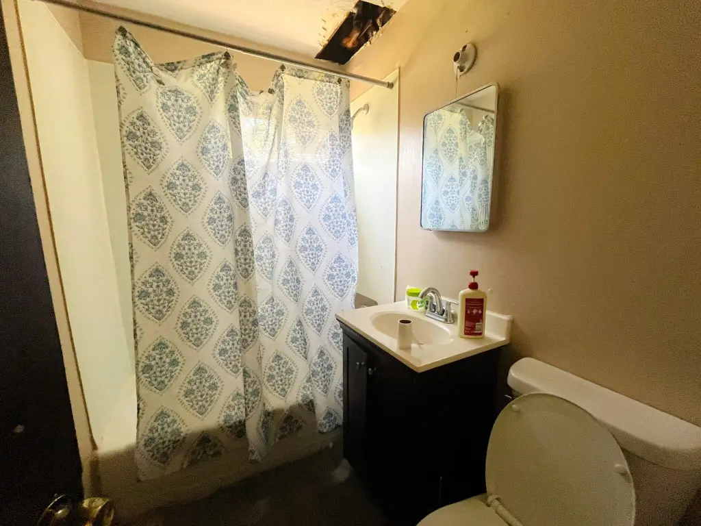 Picture 9