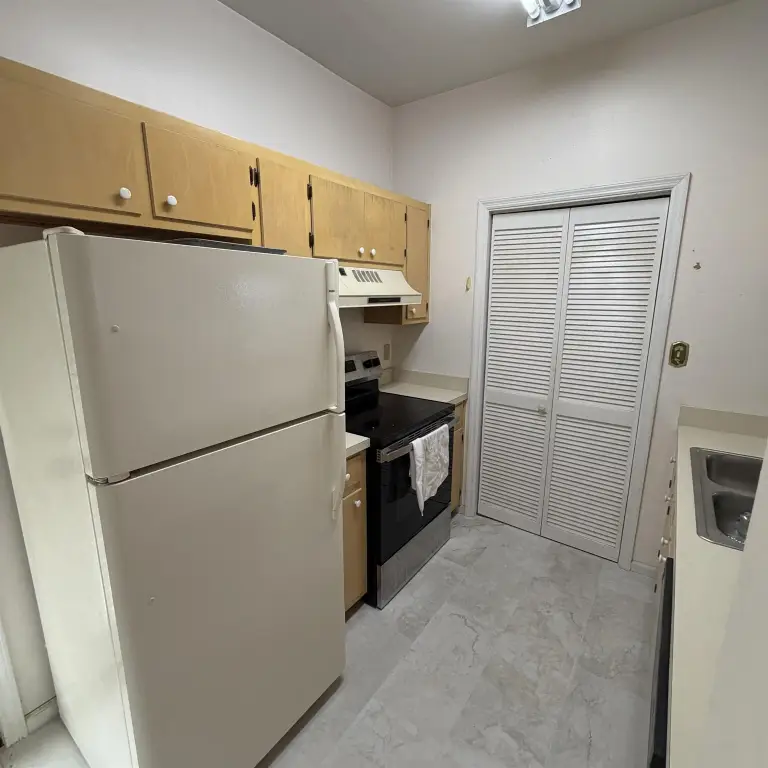 Picture 31