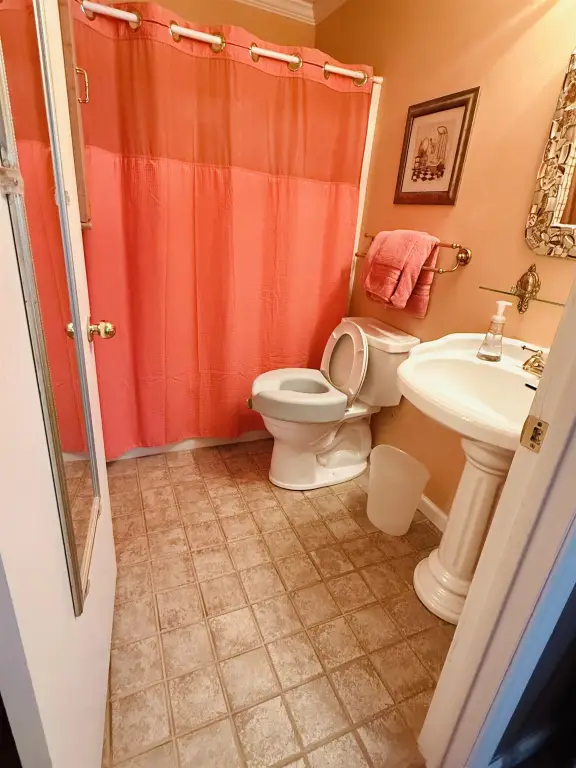 Picture 15