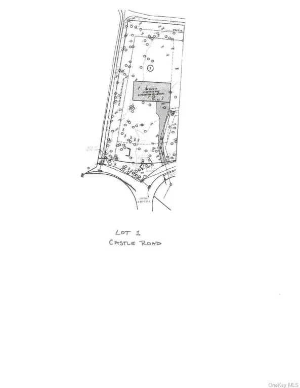 Picture 24
