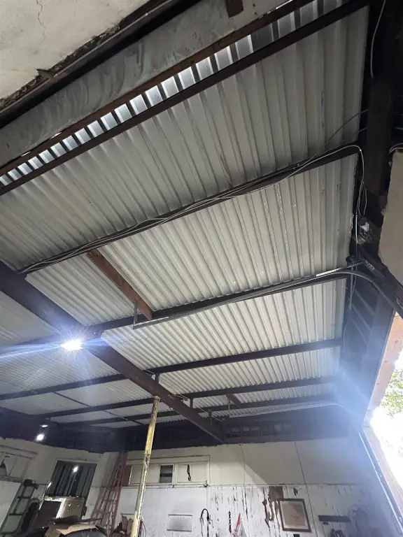 Picture 8