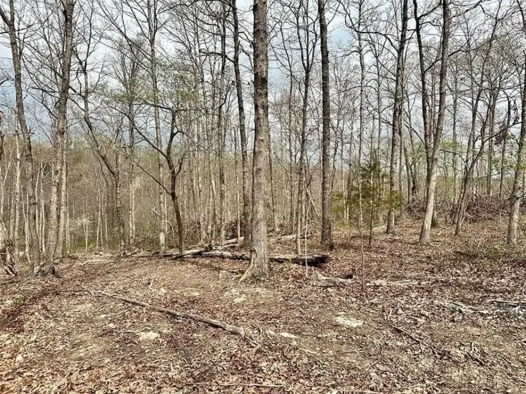 Picture 10