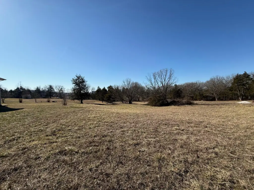 Picture 10