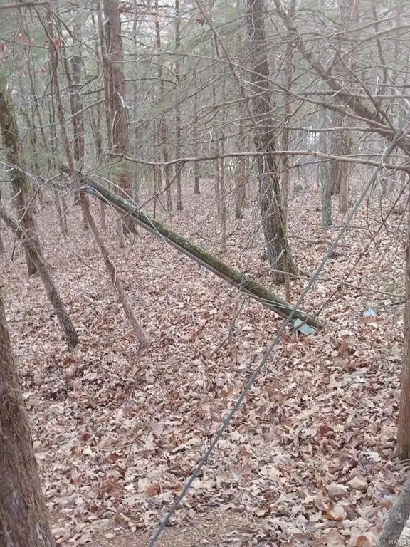 Picture 4