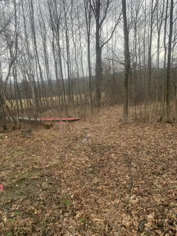 Picture 23