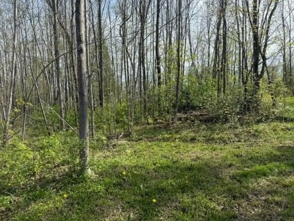 Picture 12