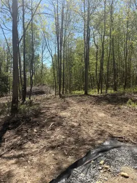 Shovel-Ready Home Lot with Driveway