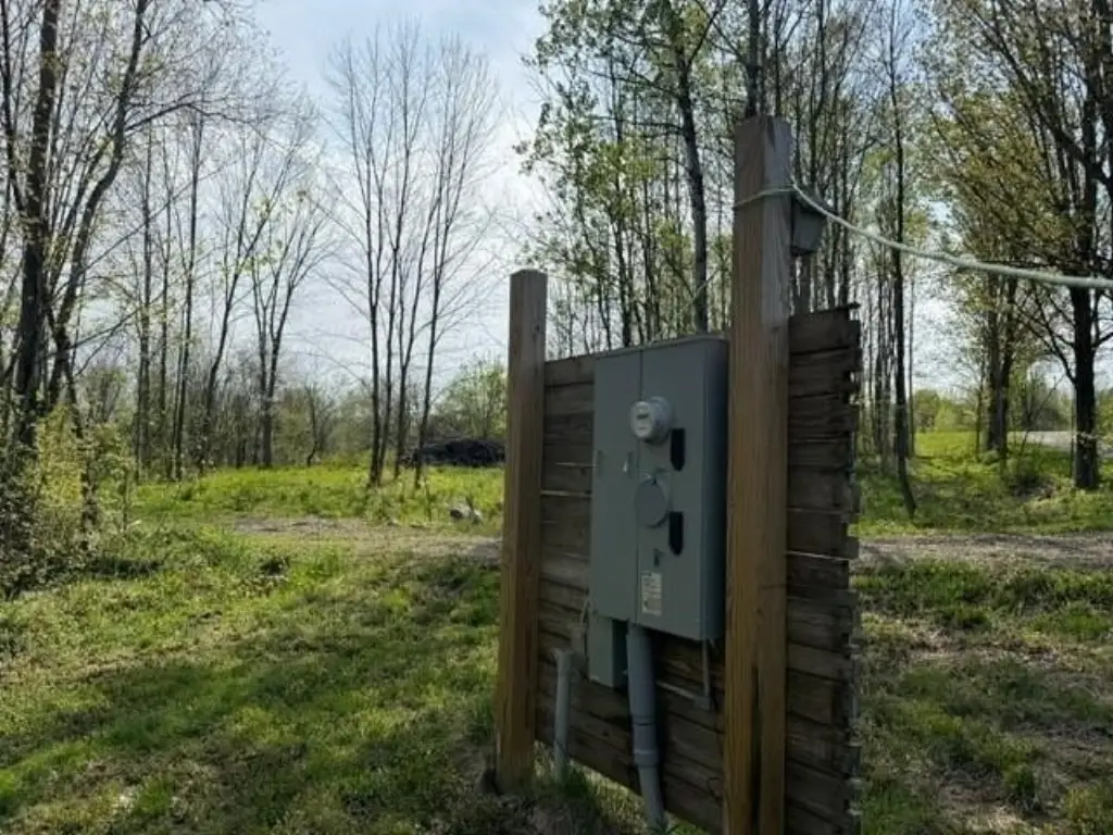 Picture 15