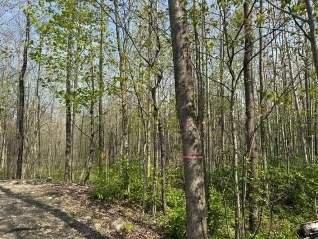 Picture 16
