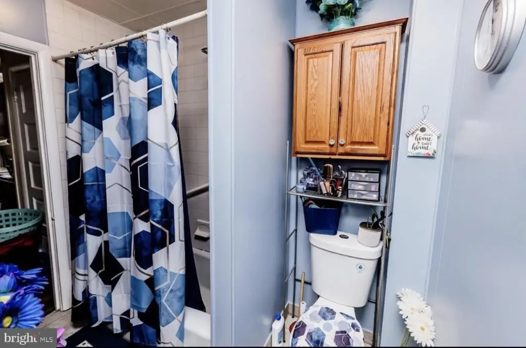 Picture 44