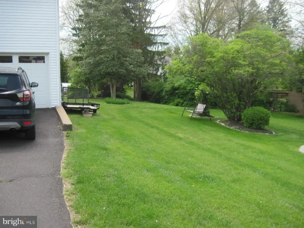 Picture 8