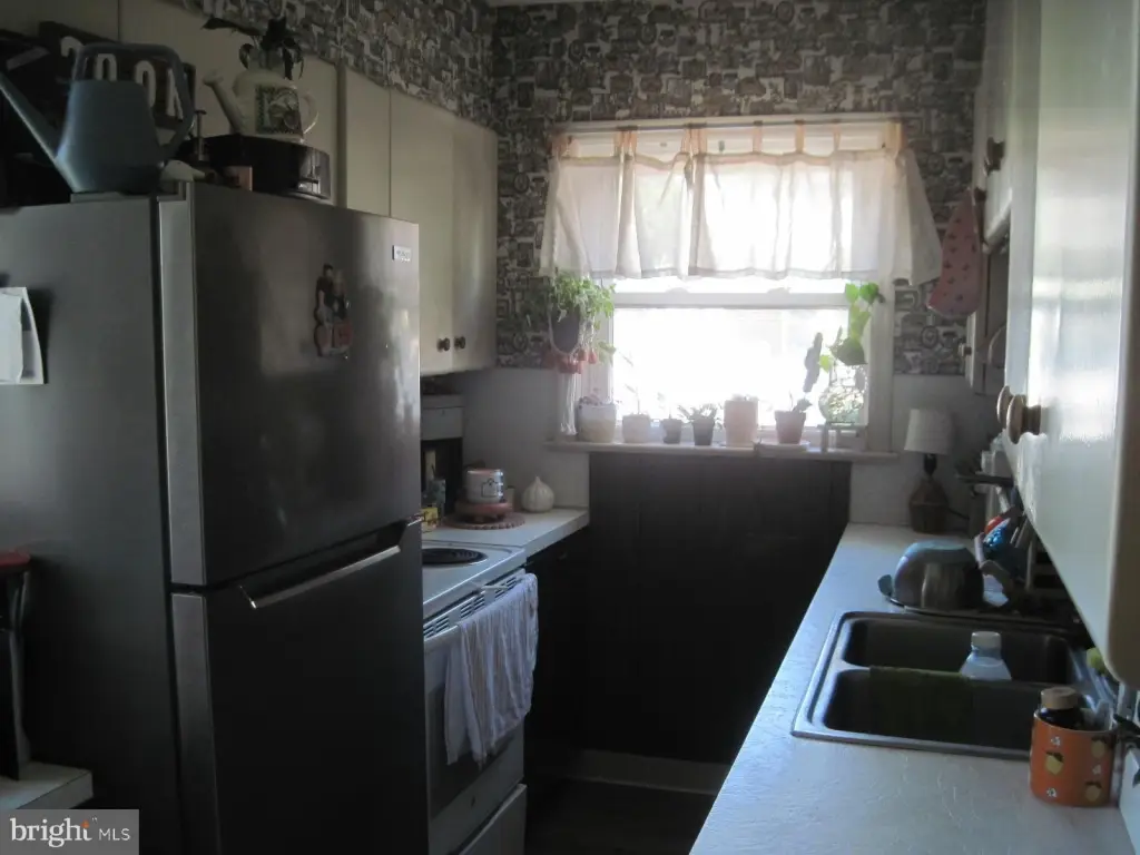 Picture 23
