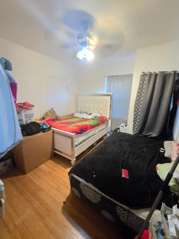 Picture 11
