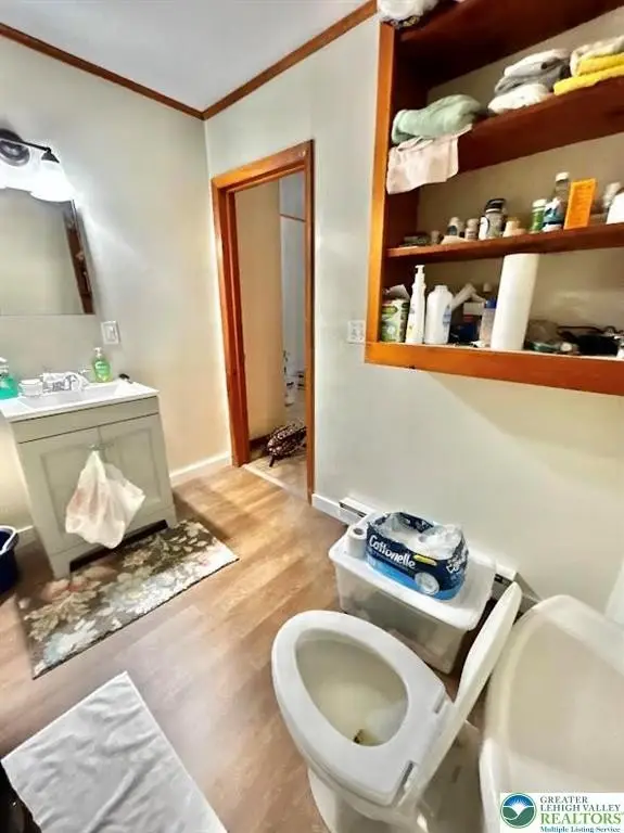 Picture 22