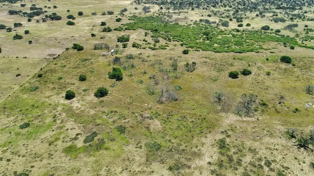 Picture 28