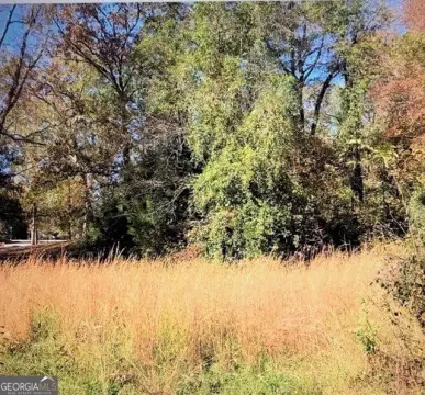 Residential Lot Beside Elberton Park