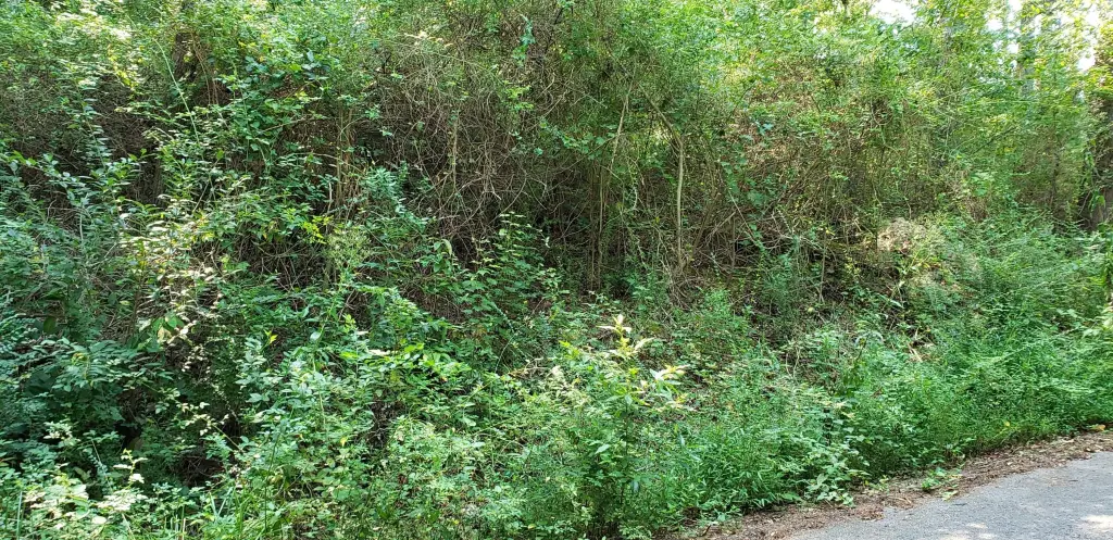 Picture 9