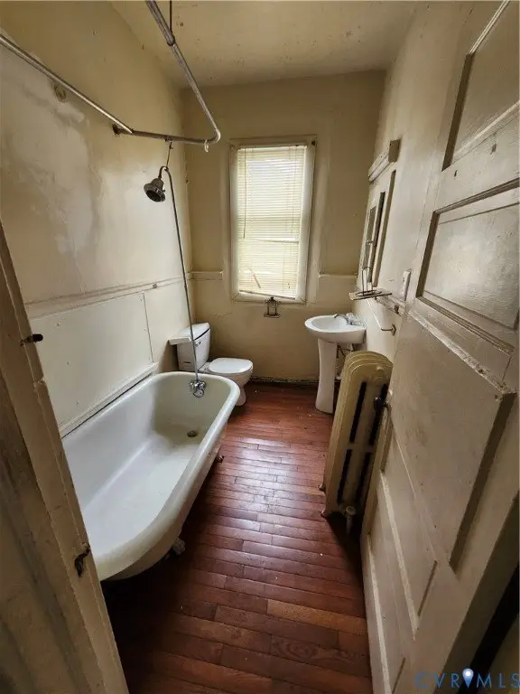 Picture 17