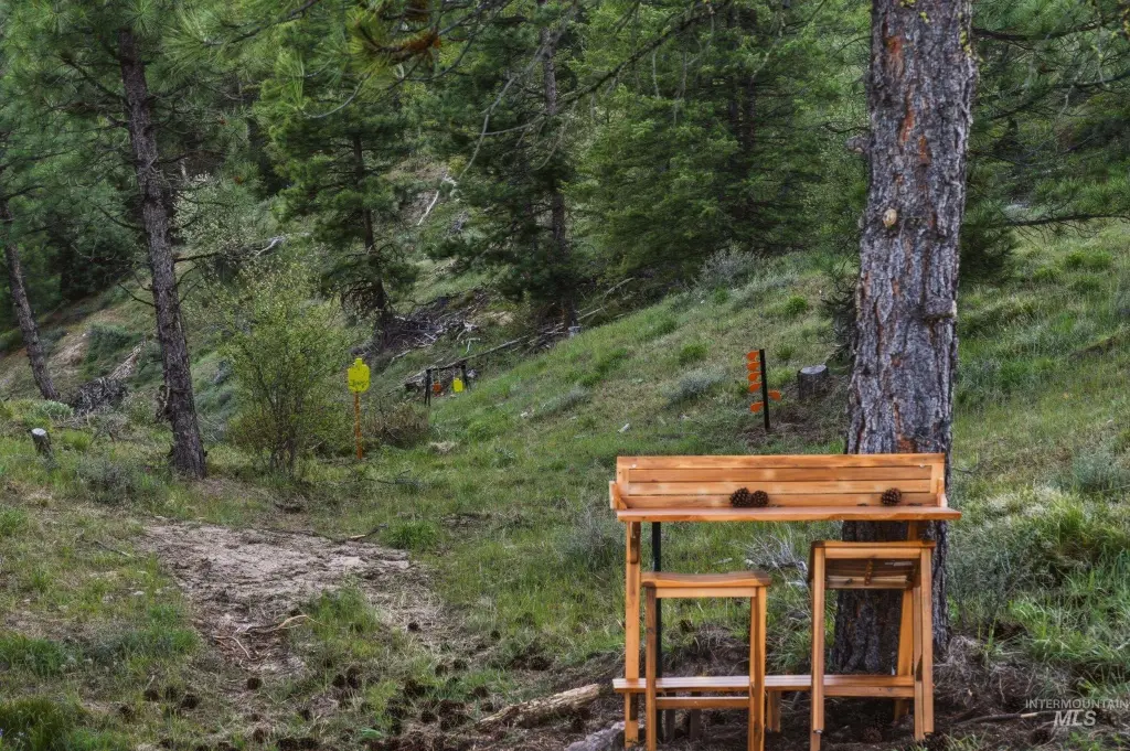 Picture 5