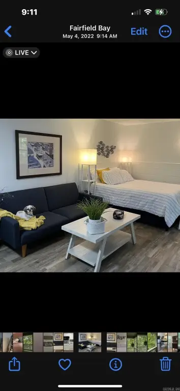 Picture 3