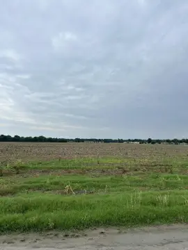 Residential Lot in Wynne, AR