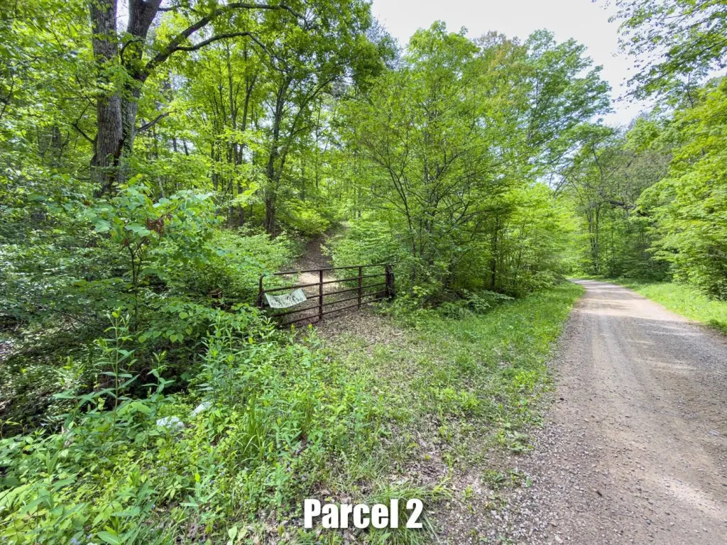 Picture 16