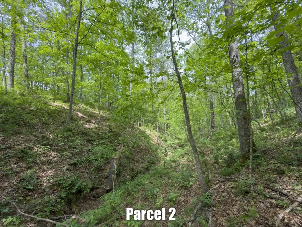 Picture 32
