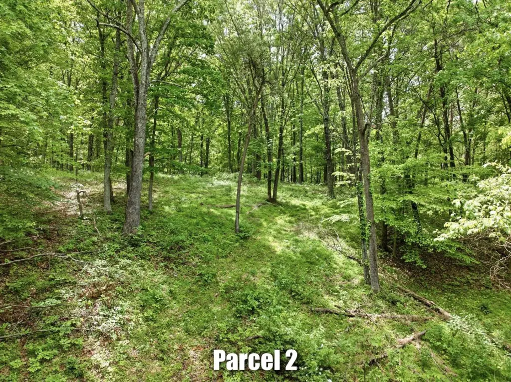 Picture 24
