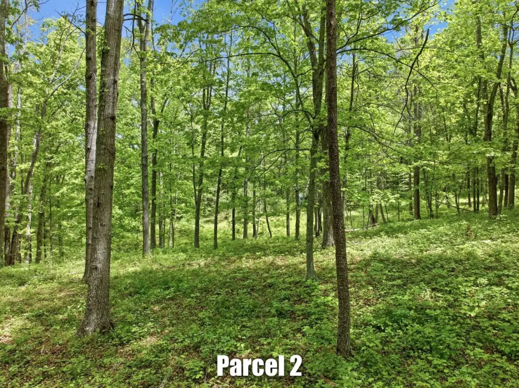 Picture 23