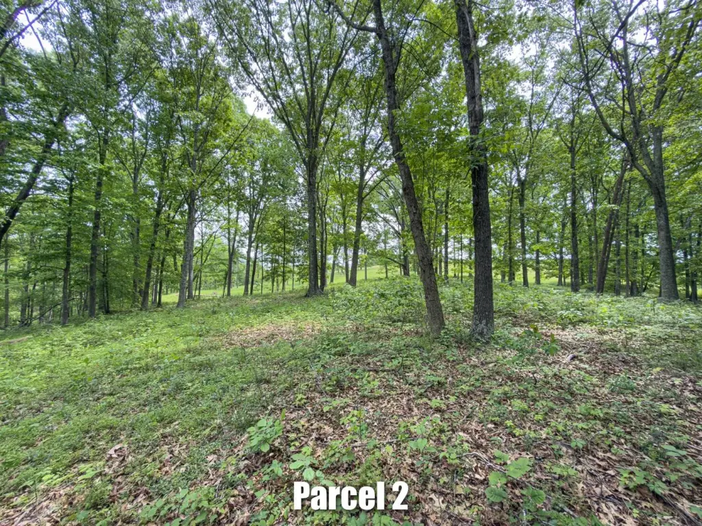 Picture 29