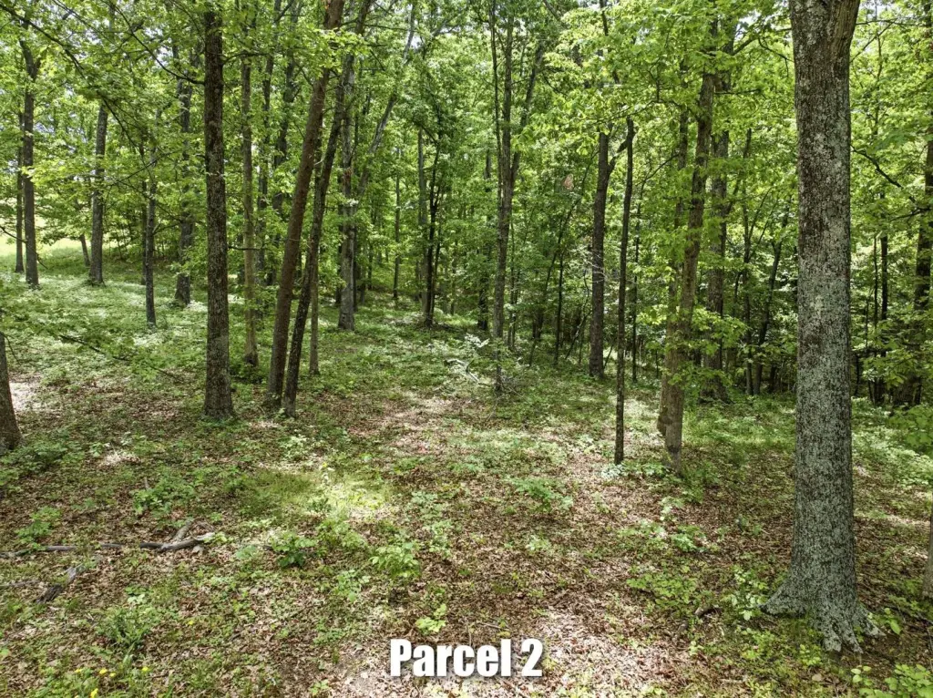 Picture 26