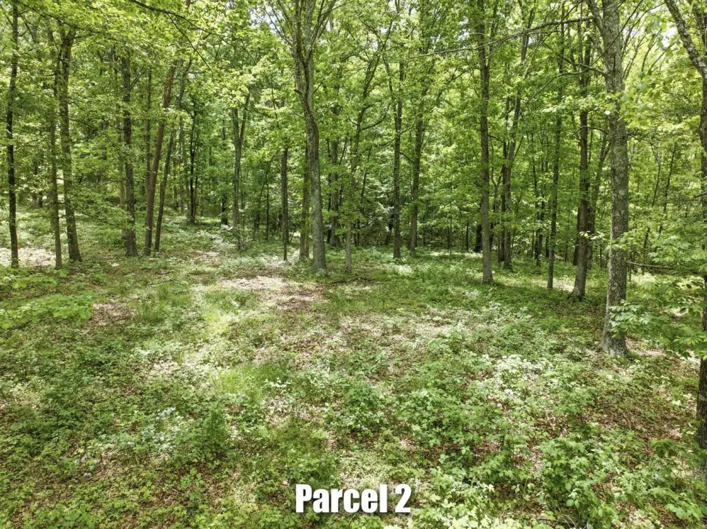 Picture 25