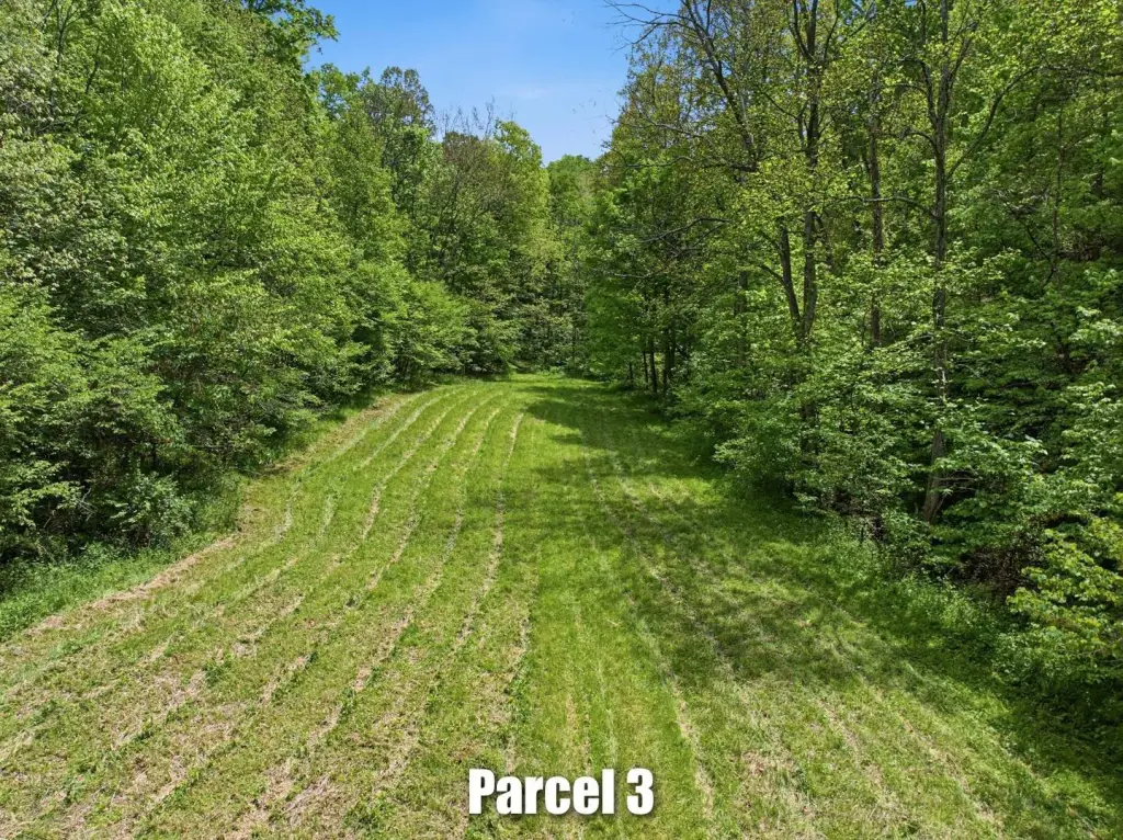 Picture 60
