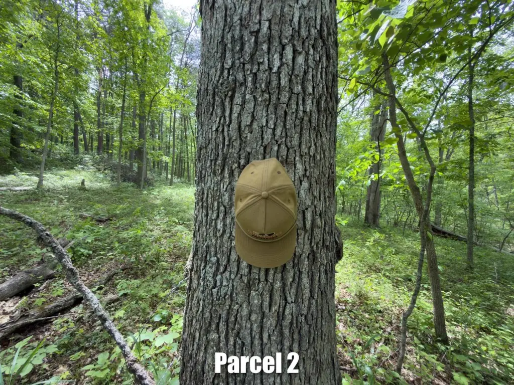 Picture 33