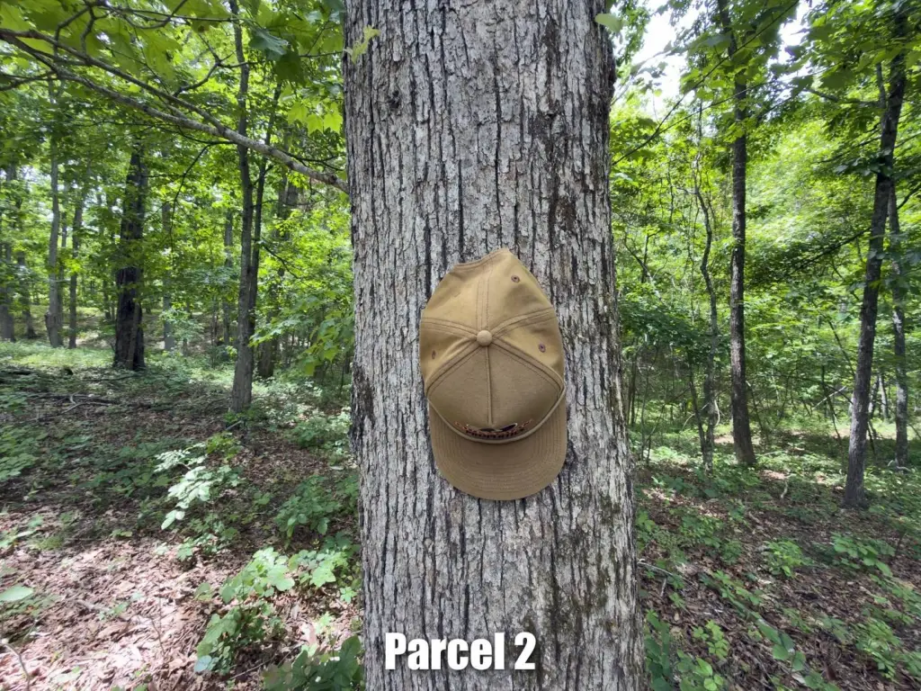 Picture 31