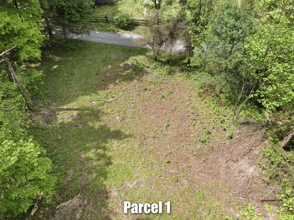 Picture 9