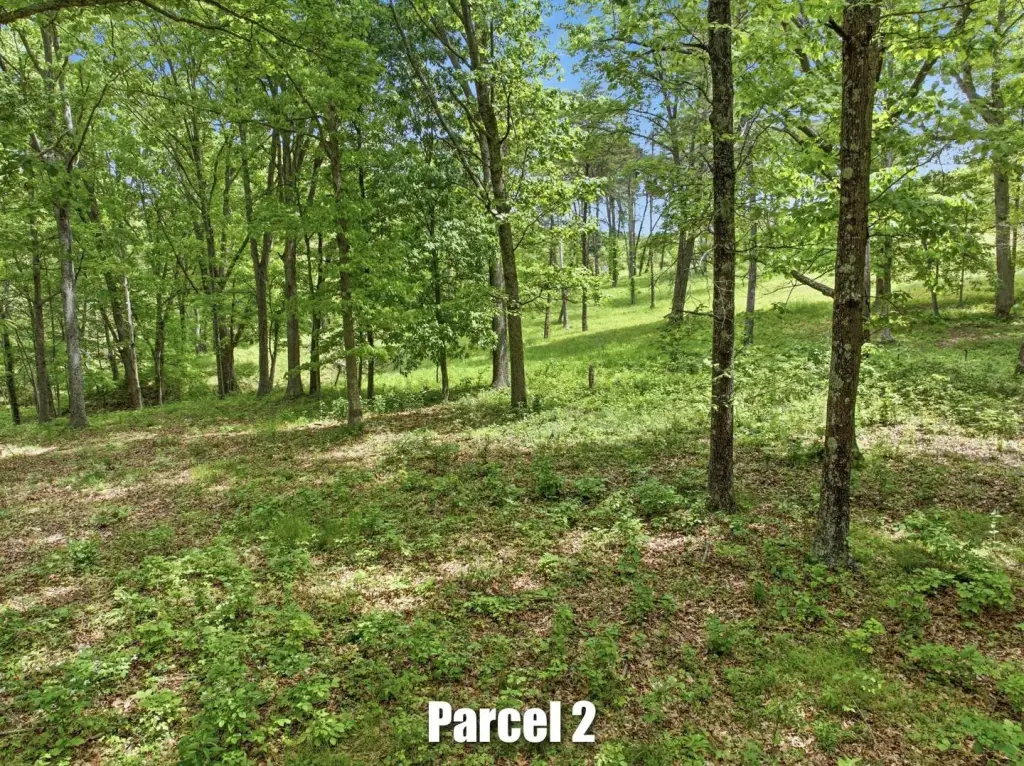Picture 27