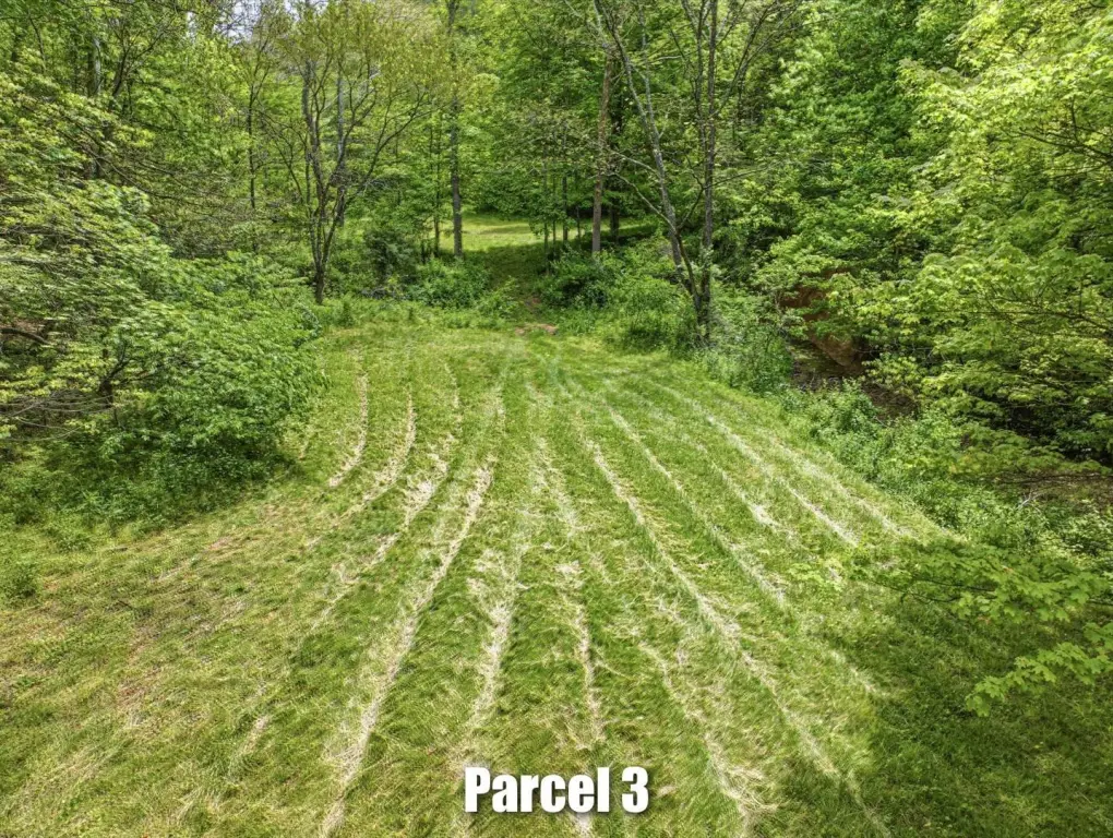 Picture 61