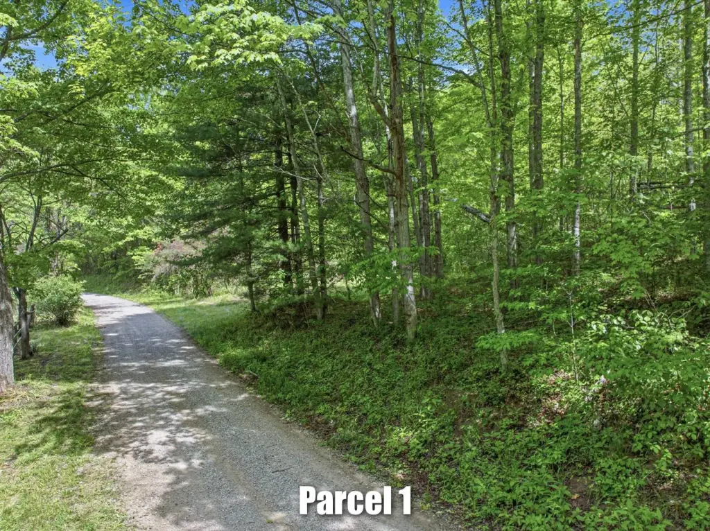 Picture 5