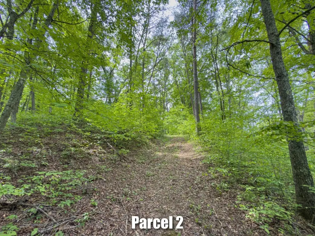 Picture 19
