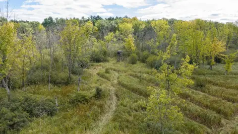 Hunting Land
